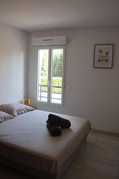 Suberbe Appartement Climatise Avec Terrasse Saint-Raphaël Esterno foto
