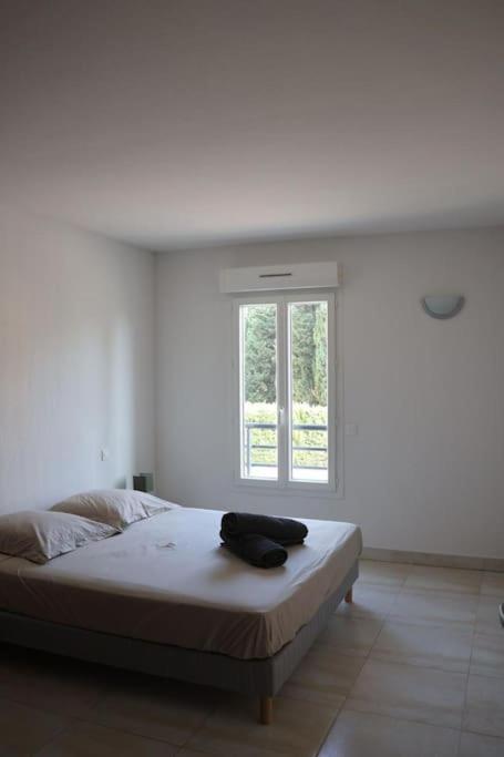 Suberbe Appartement Climatise Avec Terrasse Saint-Raphaël Esterno foto